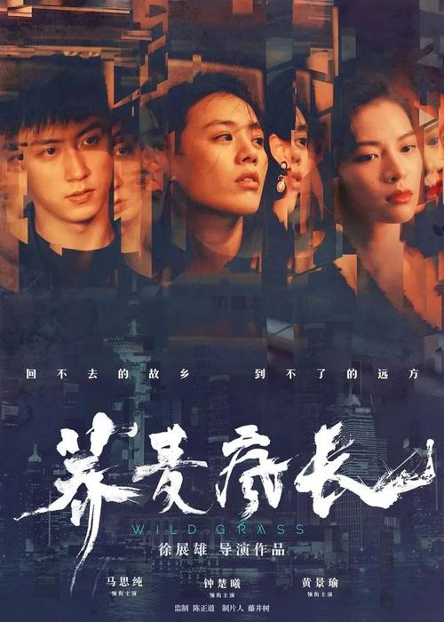 成教学历证书8位